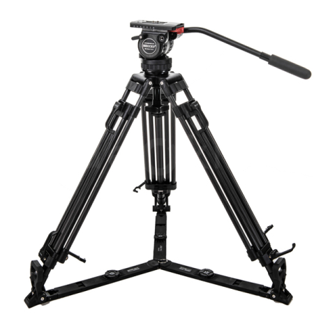 Reach Plus 1 CF